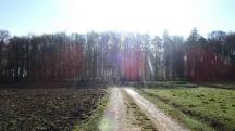  Blick auf die Wanderstrecke 